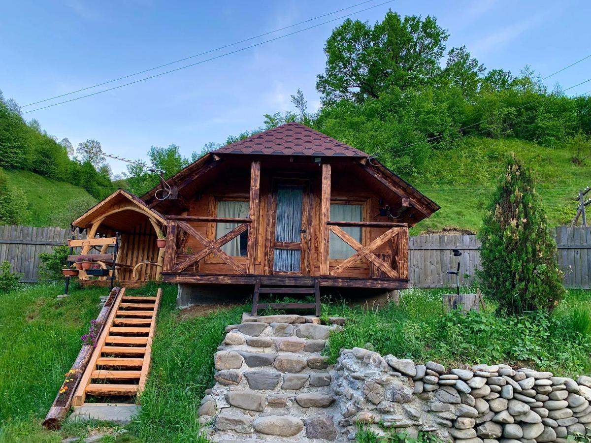 Vip-Domyk Rakhiv Exterior photo